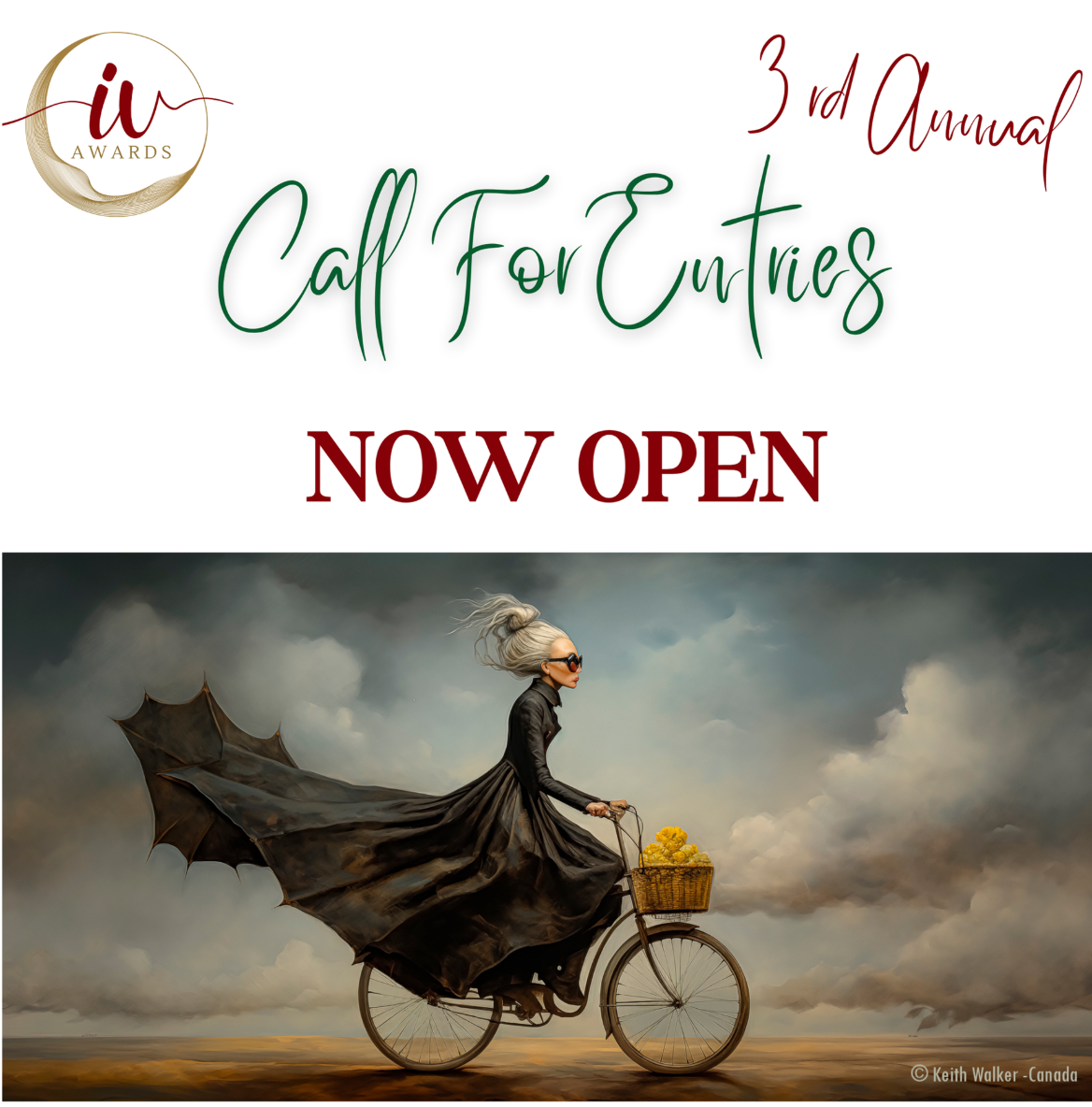 International Visionography Awards (IV Awards)  2025