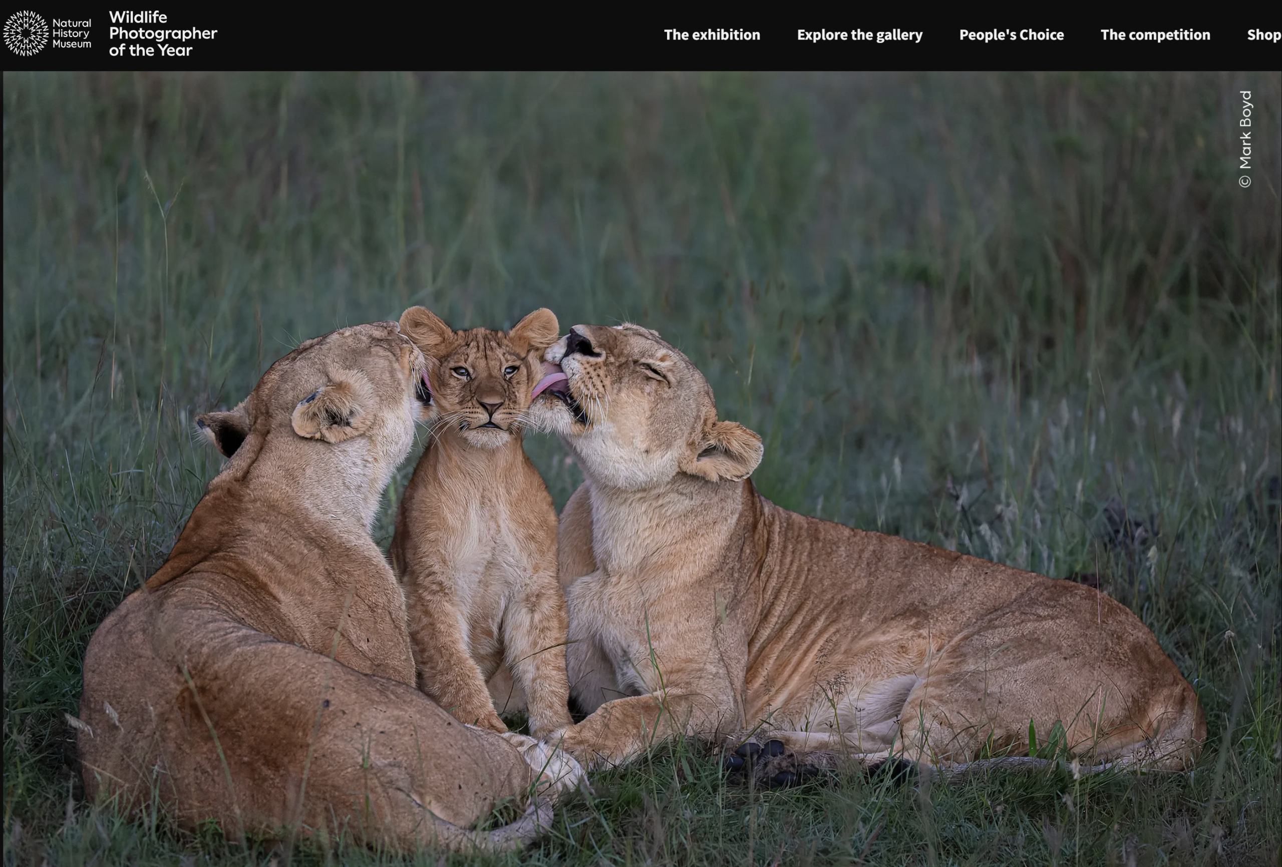 Wildlife Photographer of the Year 62 Competition 2025