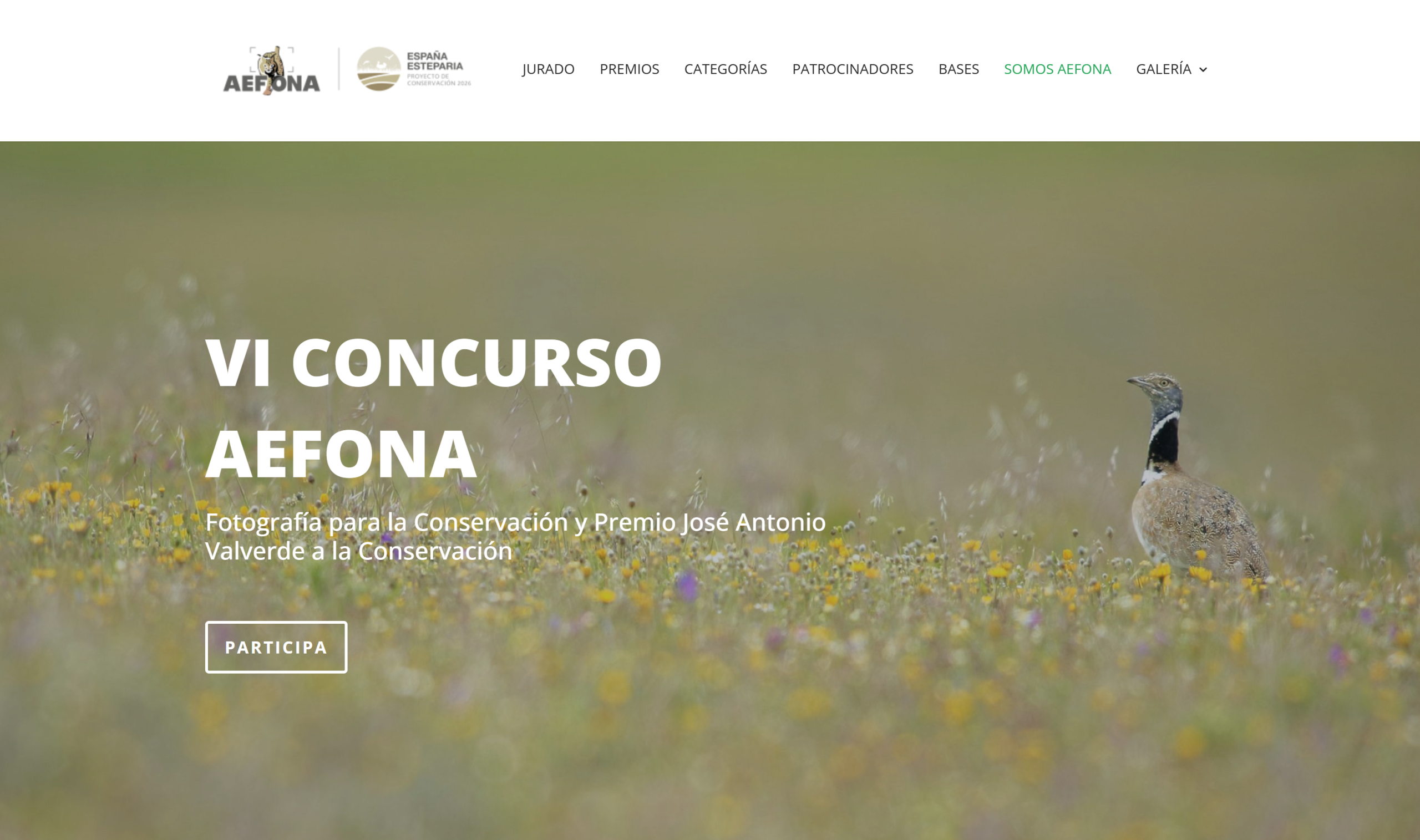 AEFONA Photography Contest 2026